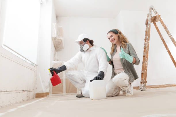 Best Mold Odor Removal Services  in Stapleton, AL