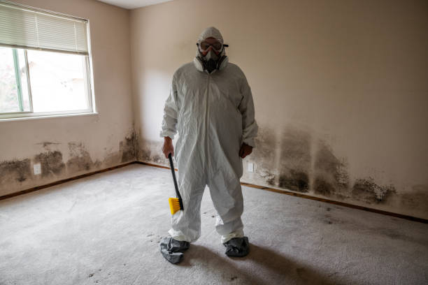 Best Residential Mold Inspection & Testing  in Stapleton, AL