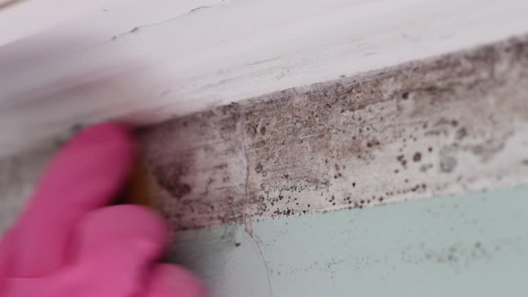 Best Dehumidification Services  in Stapleton, AL
